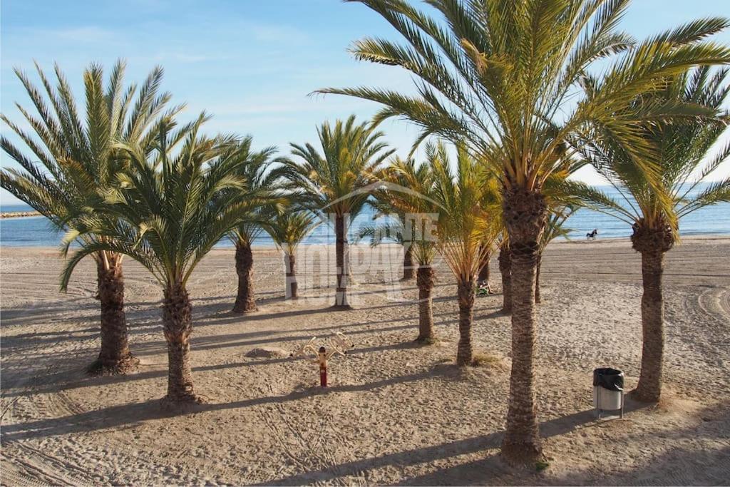 Superbe Appartement Pres De La Plage! سانتا بولا المظهر الخارجي الصورة
